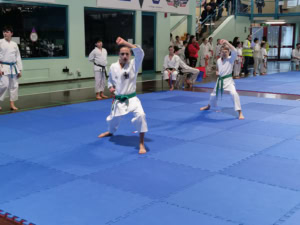 9 trofeo karate do citta di sacile17