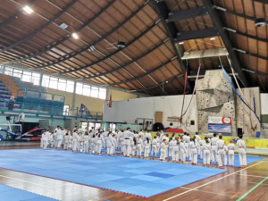 9 trofeo karate do citta di sacile2